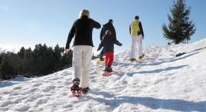 Snowshoeing on a winter holiday at Schliffkopf in the Black Forest